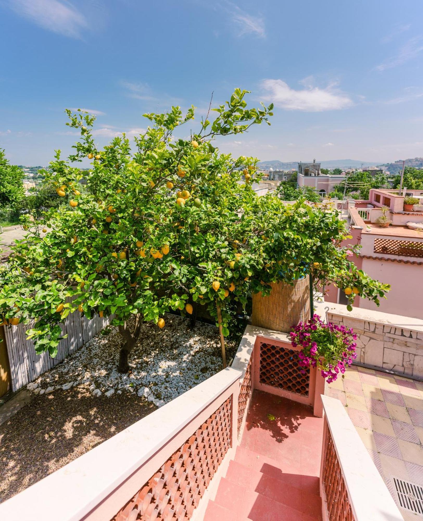 Bed and Breakfast Le Jardin Procida Exterior foto